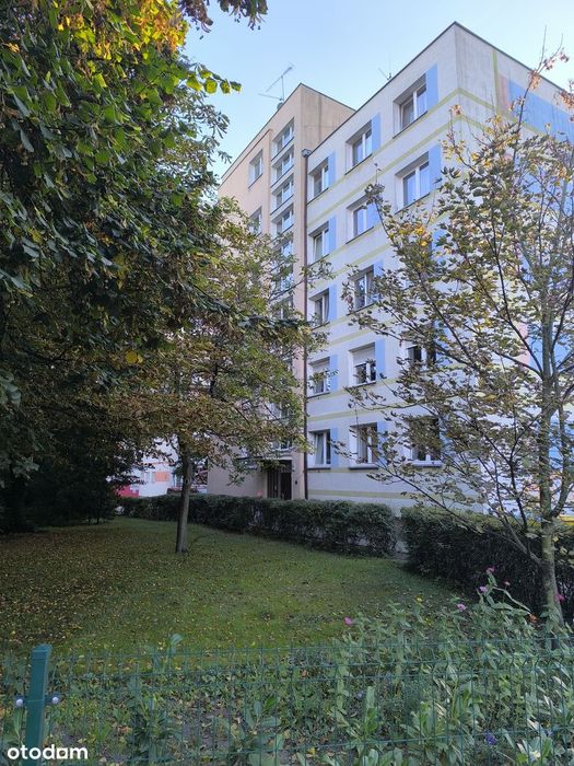 Atrakcyjne mieszkanie w samym centrum, bezpośrednio