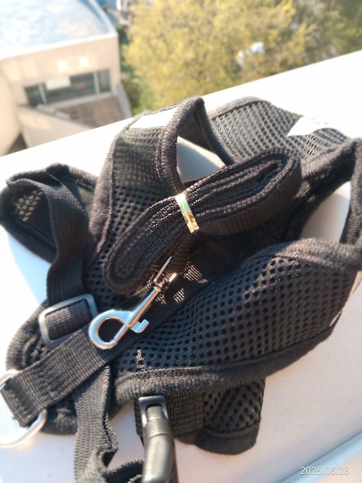 Peitoral ou arnês com trela para cão