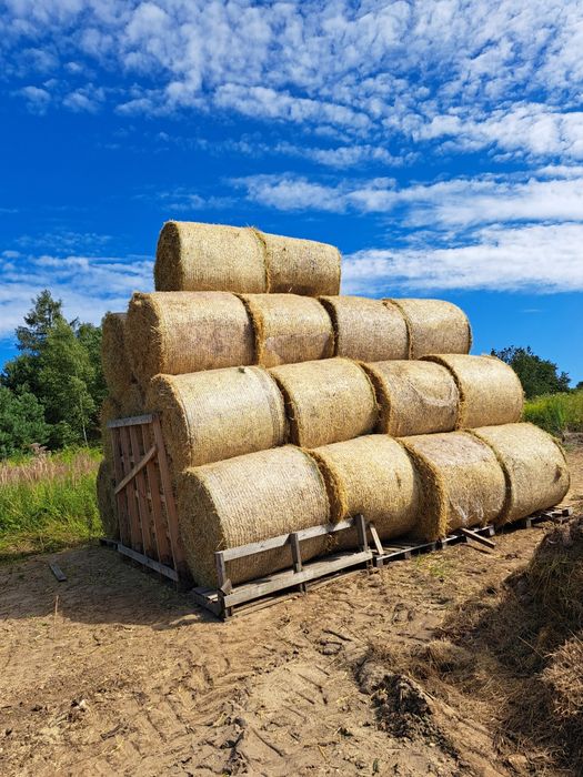 Słoma w balotach 120x120 belki słomy z transportem