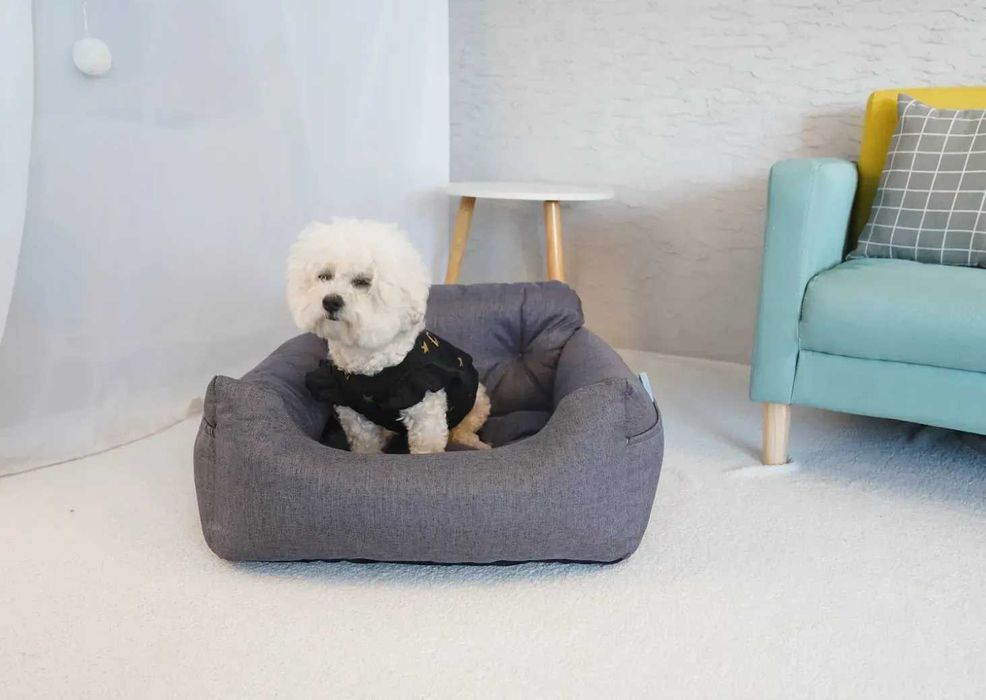 Бустер-автокрісло для собак Volso підвищене сидіння з ременем безпеки