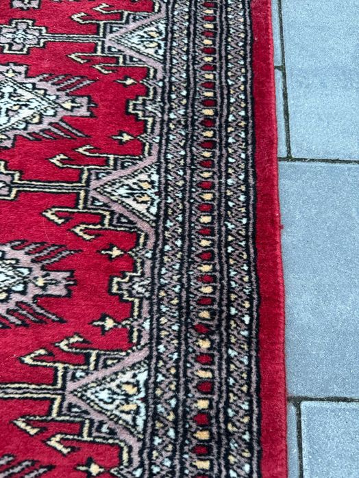 Sygnowana Pakistańska Buchara Ręcznie Tkana Wełniana Chodnik 169x50