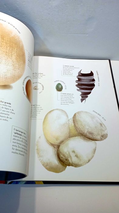 100% animais em Tamanho Real