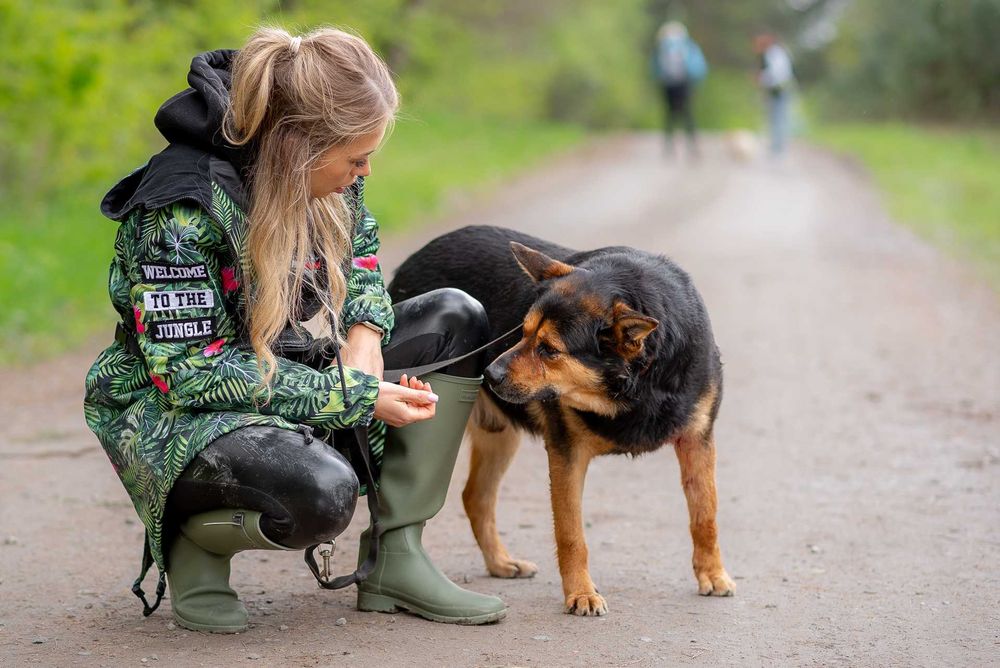Elton: schroniskowy weteran gaśnie w oczach ;(