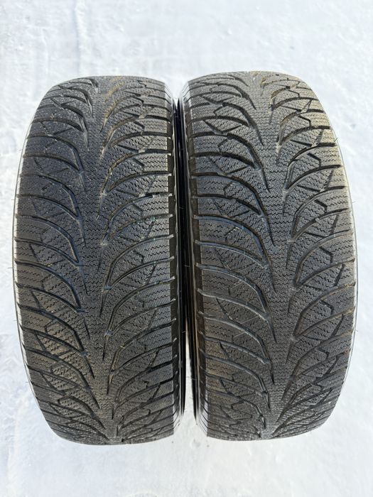 Нові зимові шини Rydanz Nordica NR01 215/65/R16