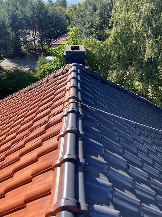 Malowanie dachu, Mycie dachu, renowacja dachów