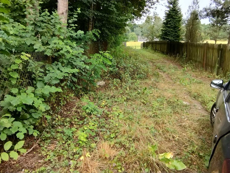 Zdjęcie 5
