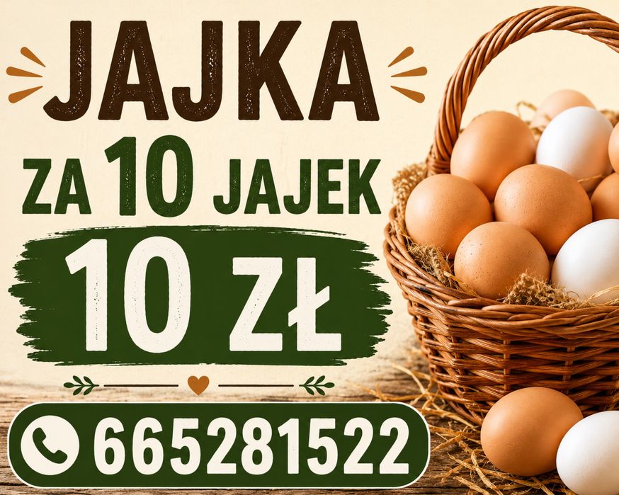 Jajka od kur z wolego wybigu