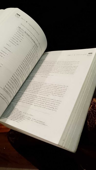 Visual C++5 Developer's Guide - David Bennet