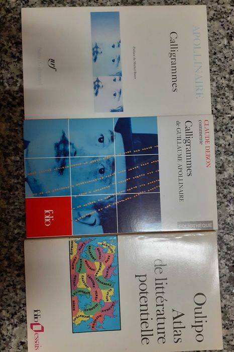 Real vs Virtual - Poesia experimental - LIVROS NOVOS