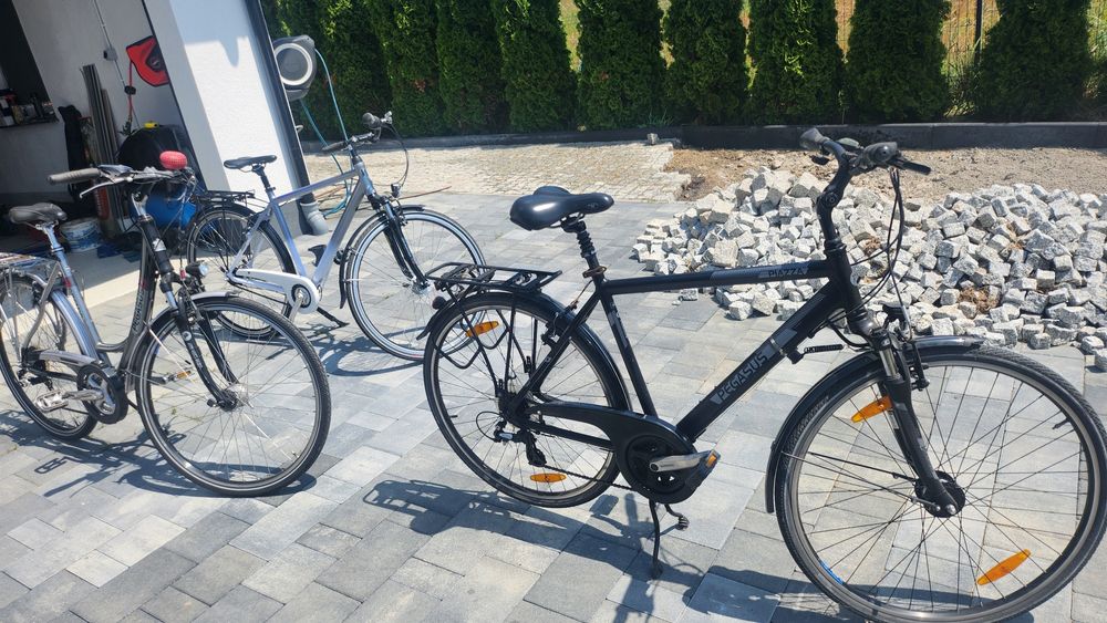 Rowery Pegasus zwykłe