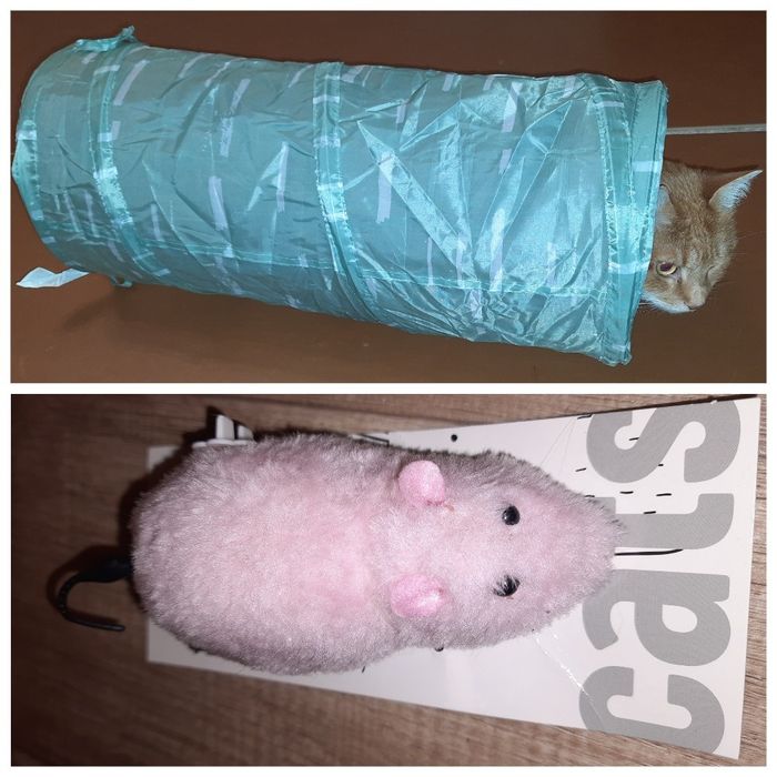 Тоннель тунель заводна механічна миша  іграшки коту кішкам игрушки