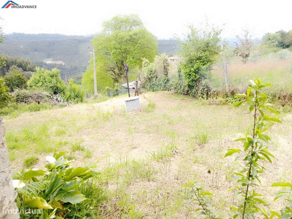 Terreno com Ruína a 25 minutos de Coimbra