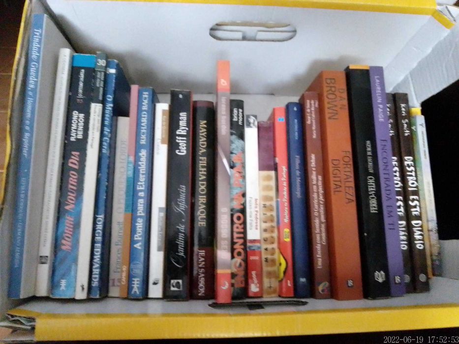 Livros VENDIDOS EM SEPARADO - Vários Preços Lotes 33+40+46+47