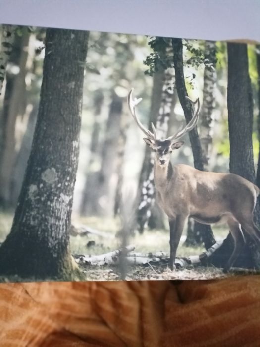 Obraz na płótnie widok