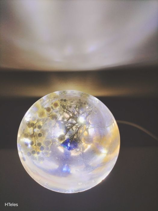 Luz noturna com flores naturais em resina
