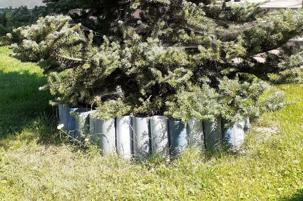 Rurki dekoracyjne do ogrodu