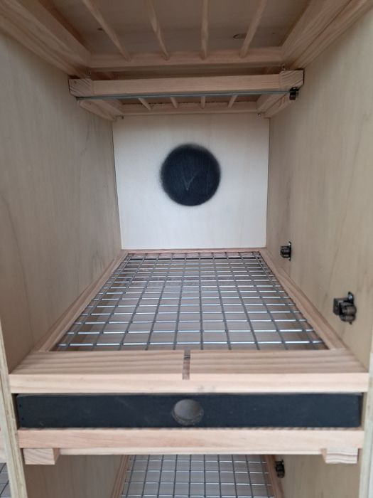 Casulos à medida para pombos