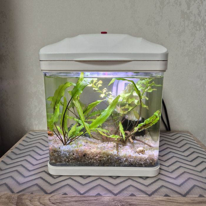 Акваріум (аквариум) нано комплект набір