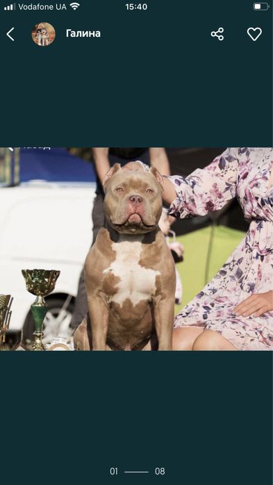 Сука буллі з перспективою шоу!