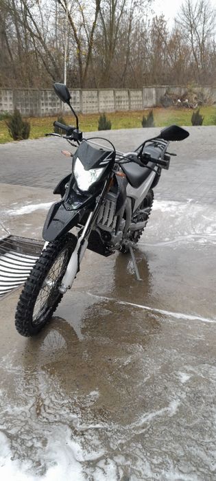 Продаєця Лось 300