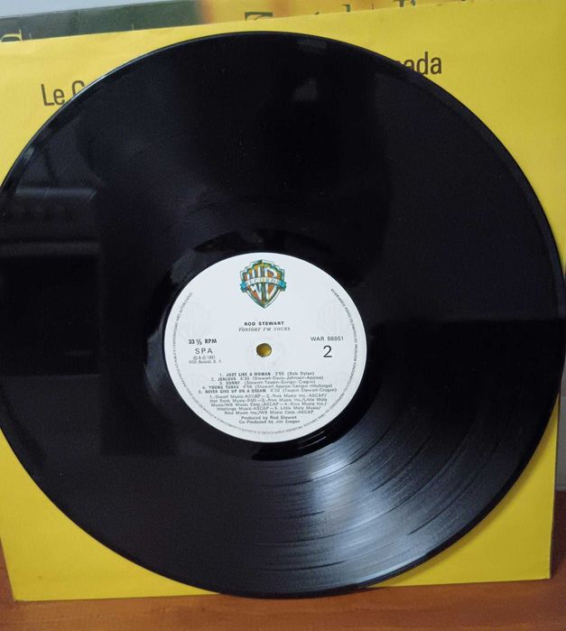 Rod Stewart tonight I`m yours vinil bom estado