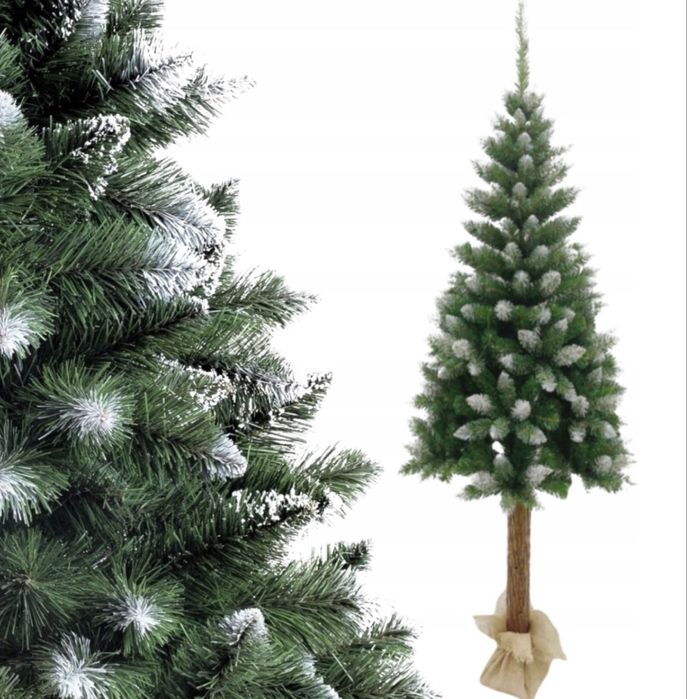 Choinka sosna na pniu 220 cm