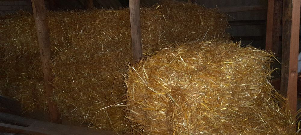 Тюки. Солома овсяна в тюках