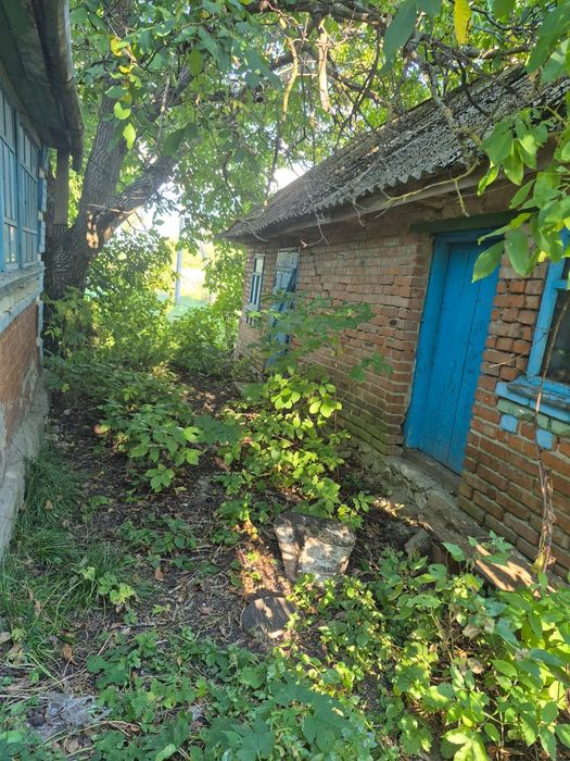 Здам будинок в оренду