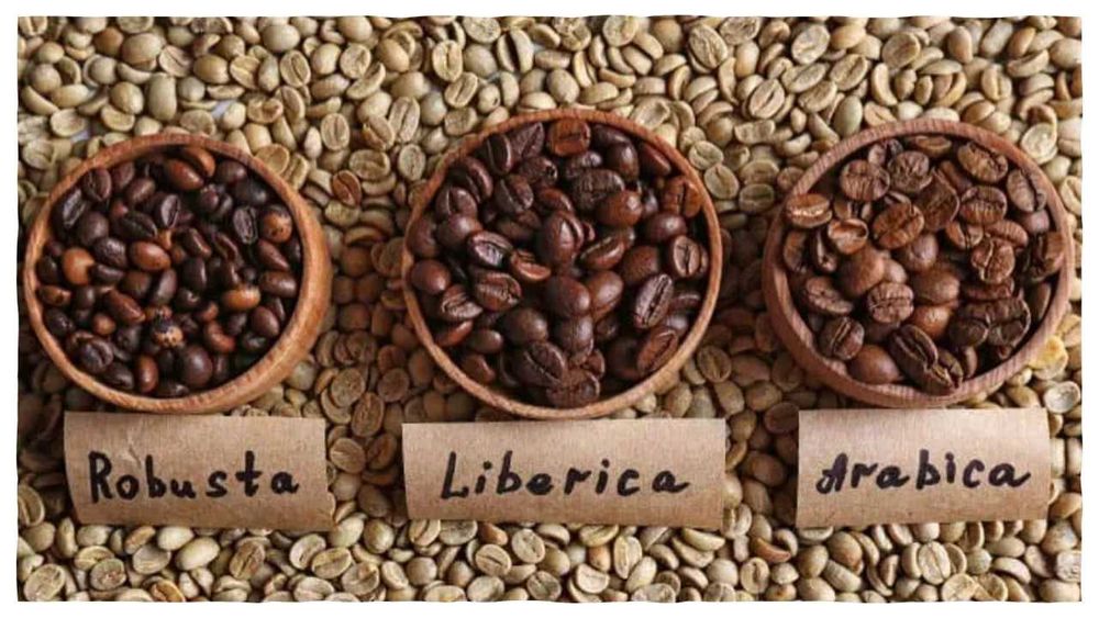 Café Arabica e Robusta