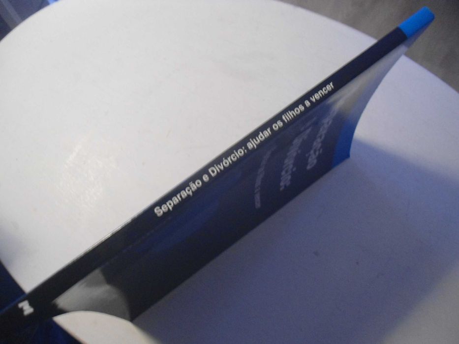 Separação e Divórcio-Ajudar os filhos a vencer de Martin Herbert