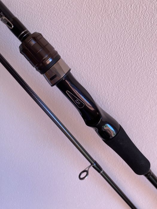 Cana Spining Daiwa Exceler