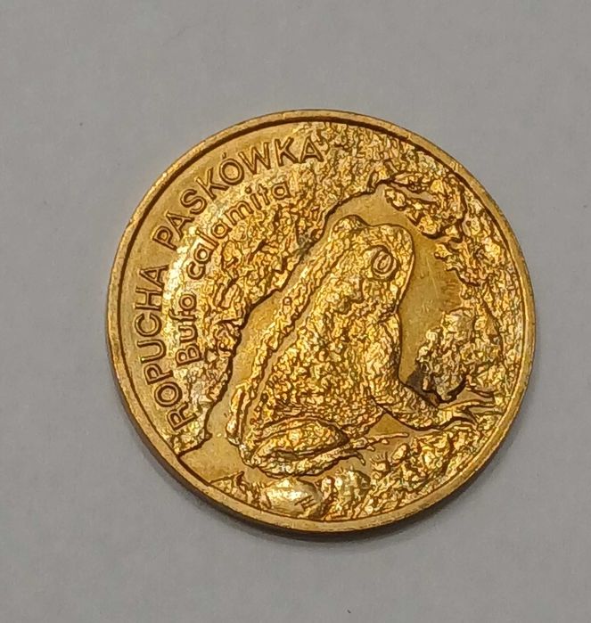 2 zł Ropucha Paskówka