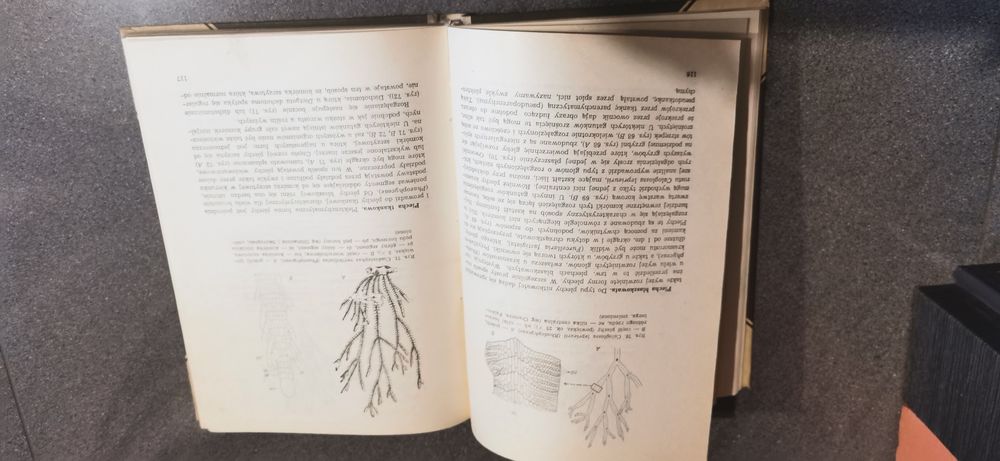 Botanika ogólna
W. Nultsch