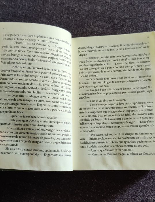 Herança de Gelo - Nora Roberts