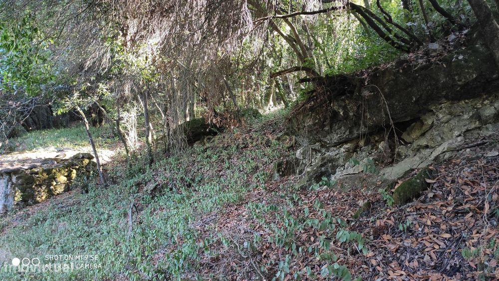 Terreno em Maceira para construção