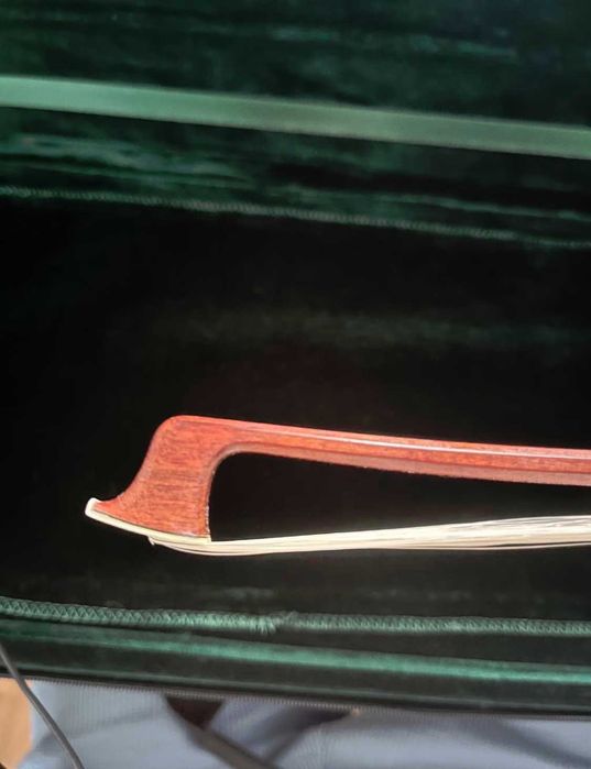 Violino Ladislav F. Procop