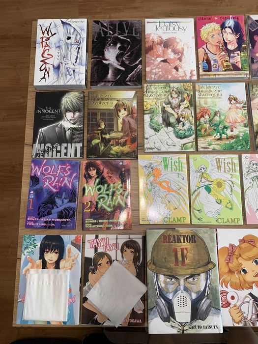 Zestaw mang i książek