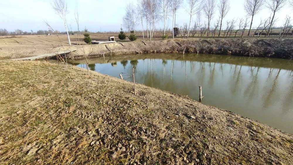 Продам, загороджену ділянку 1 га з своїм зарибленим озером, садом, малиною під дачу або бізнес