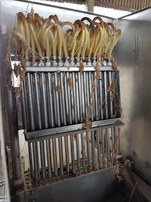 Ін'єктор Inject Star ВI-62 CDE