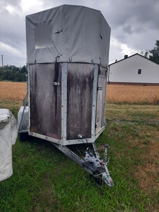 Przyczepa do końi