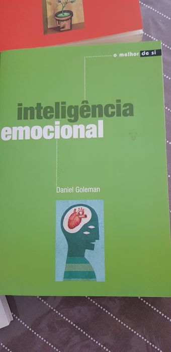 Livros de vários títulos motivacionais