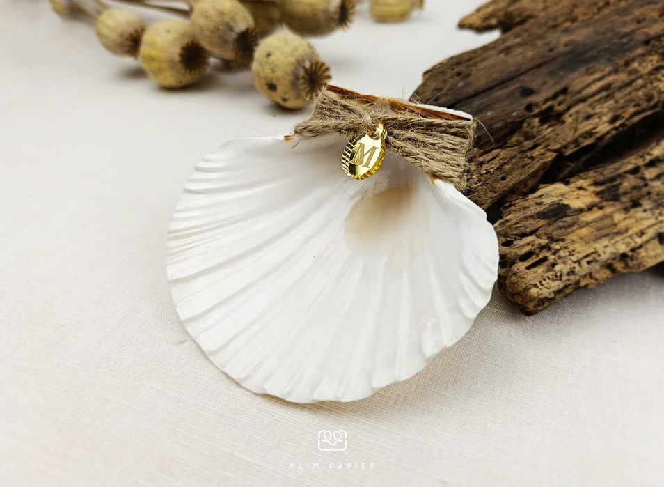 Concha vieira - batismo