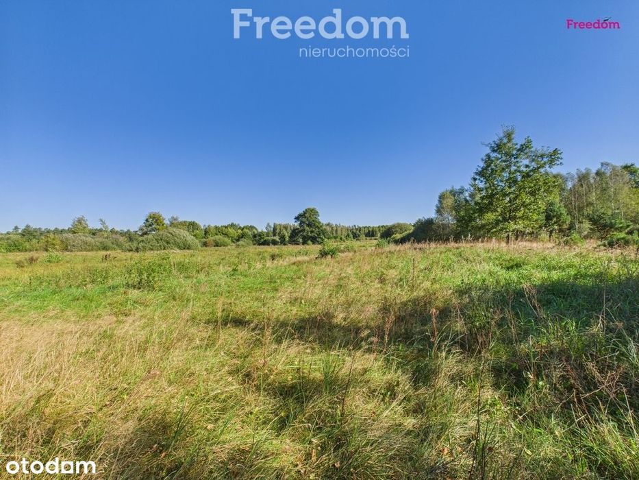 Działki budowlane z warunkami zabu/Sucha - Pionki