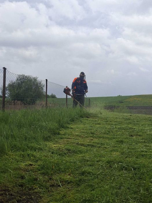 Wykaszanie traw nieużytkow oraz chaszczy