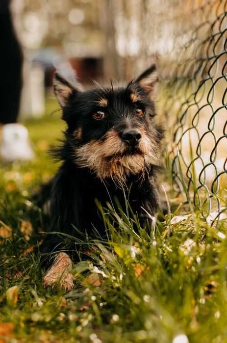 Miki potrzebuje rodziny, która zapewni mu bezpieczeństwo i zrozumienie