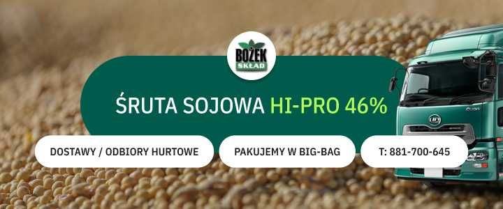 Śruta Sojowa Hi Pro 46% dla Zwierząt