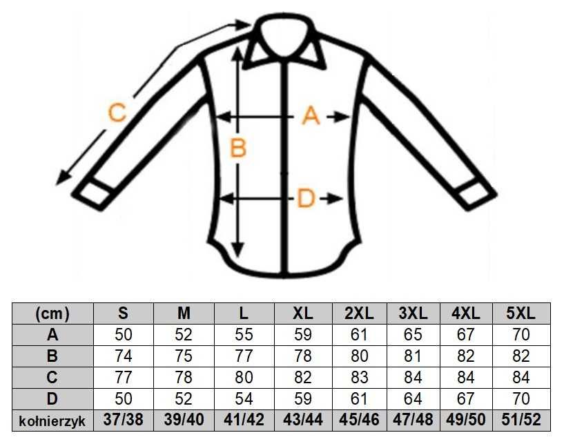 DANIEL BESSI Koszula męska fb114 biała, złota, glamour, kwiaty