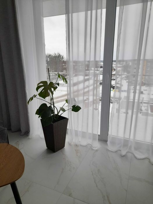 apartament Milenka