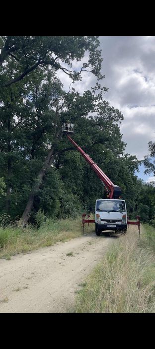 Wynajem Usługi Podnośnik koszowy! Wycinka i pielęgnacja drzew! 20-27M!