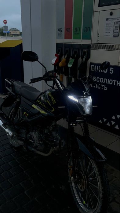 musstang fit 2   2024р